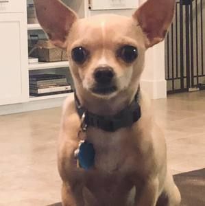 Meet your Posher, Alison